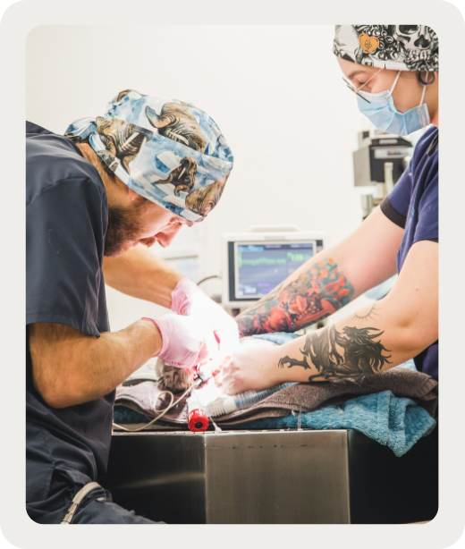 Dentisterie opératoire : quand il faut aller plus loin