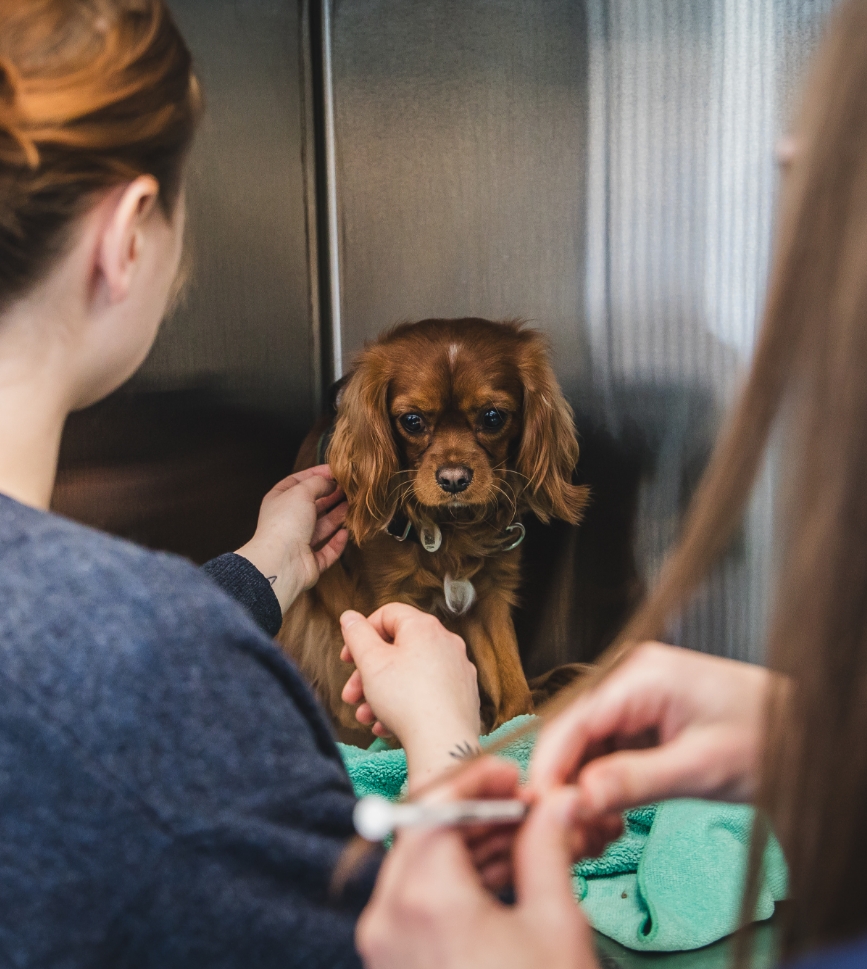 Médication et besoins particuliers