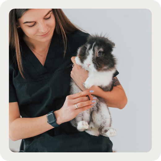 Chiens, chats… et petits animaux à poil